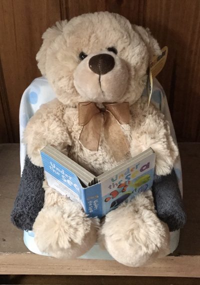 Baby Boy Reading Teddy